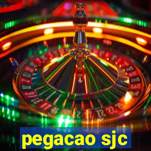 pegacao sjc