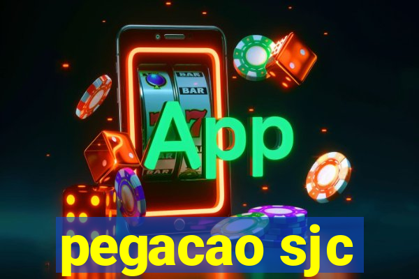 pegacao sjc