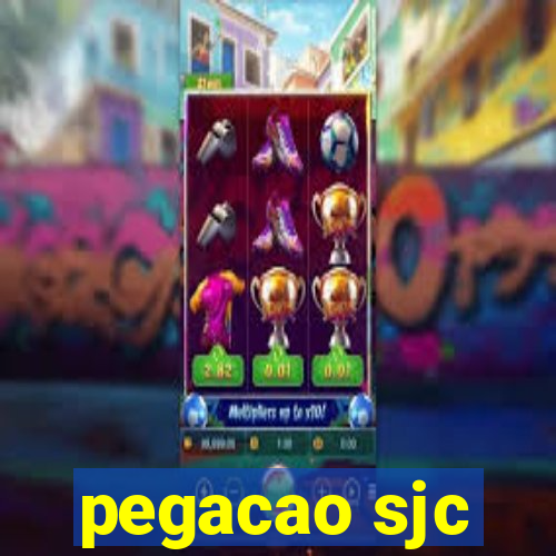 pegacao sjc