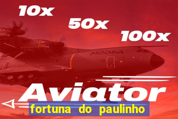 fortuna do paulinho do roupa nova