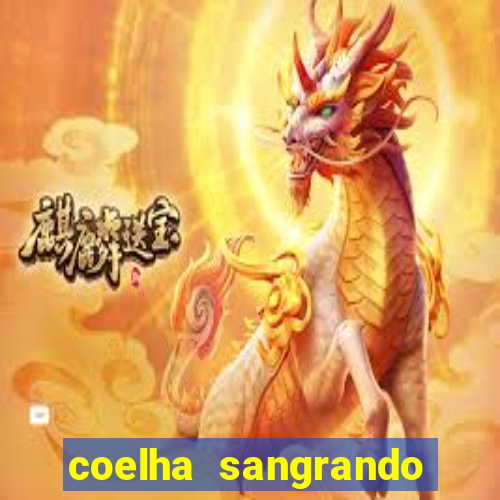 coelha sangrando pela parte intima