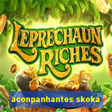 aconpanhantes skoka