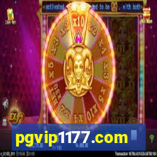 pgvip1177.com