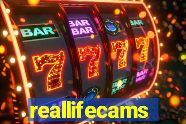 reallifecams