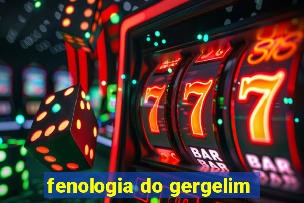 fenologia do gergelim