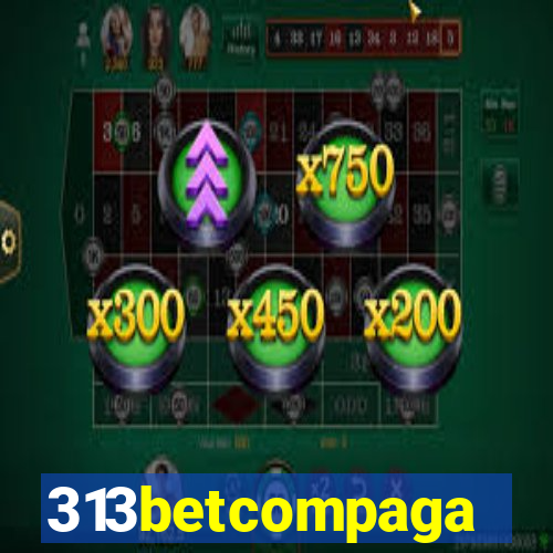 313betcompaga