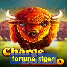 fortune tiger cassino pix