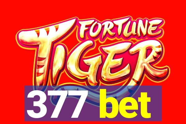 377 bet