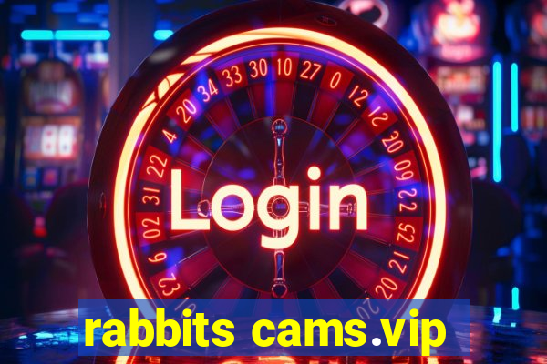 rabbits cams.vip