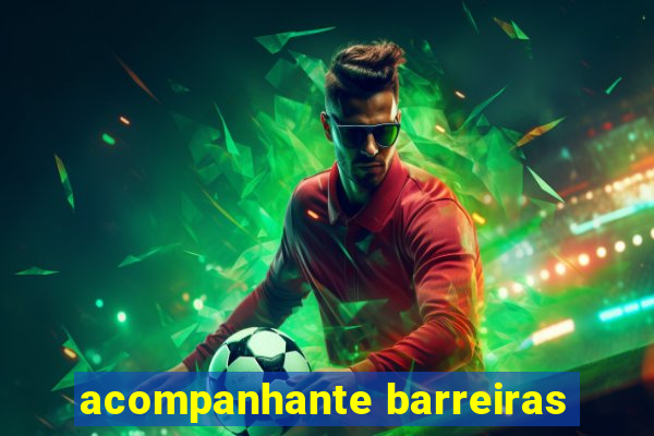 acompanhante barreiras