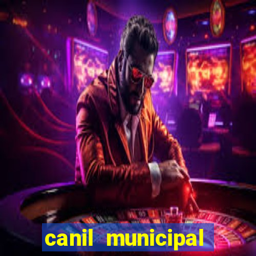 canil municipal porto alegre