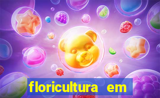 floricultura em franca sp