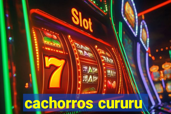 cachorros cururu