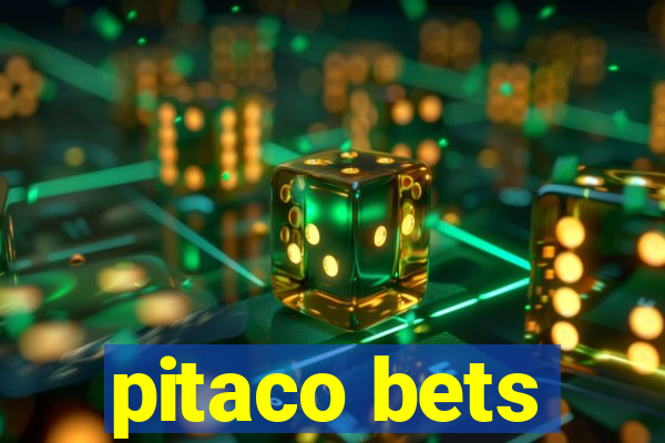 pitaco bets