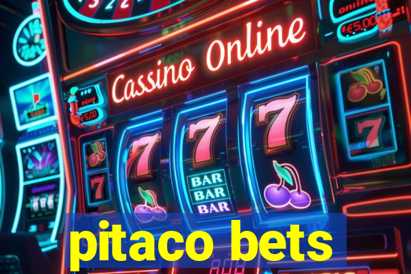 pitaco bets