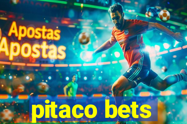 pitaco bets