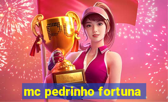 mc pedrinho fortuna