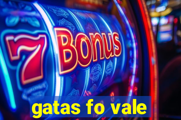 gatas fo vale