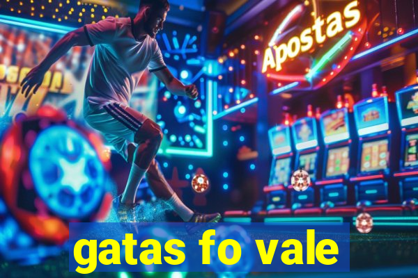 gatas fo vale