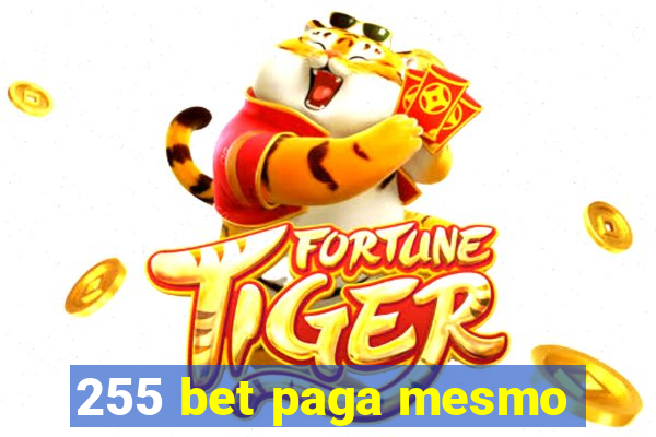 255 bet paga mesmo