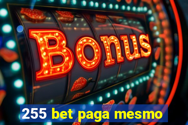 255 bet paga mesmo