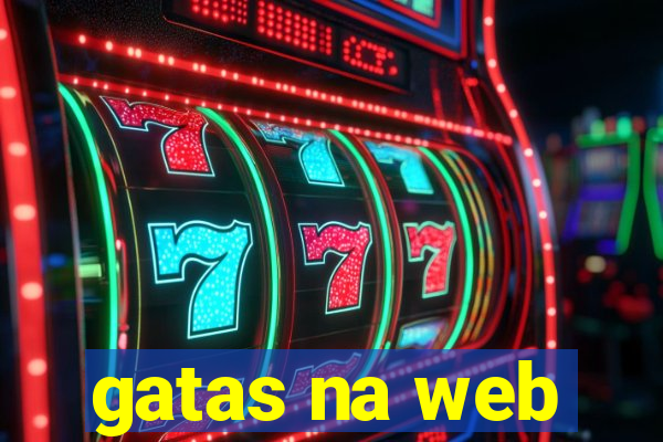 gatas na web