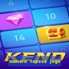 numero raposa jogo do bicho