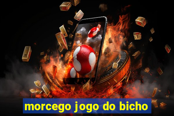 morcego jogo do bicho