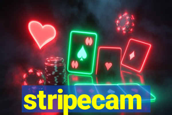 stripecam