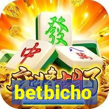 betbicho