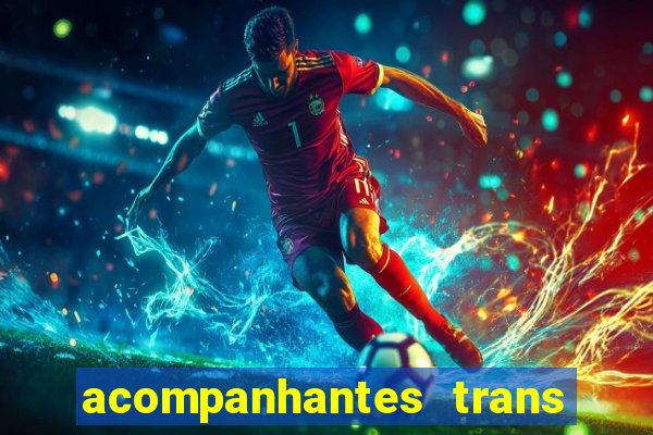 acompanhantes trans baixada fluminense