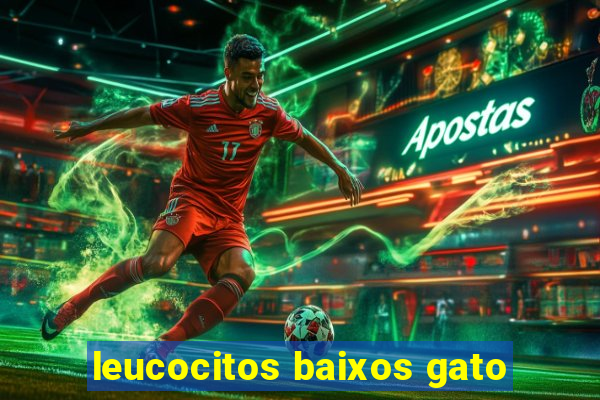 leucocitos baixos gato