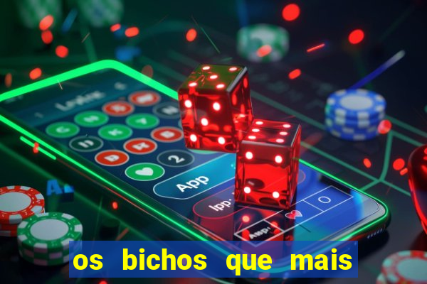 os bichos que mais saem na loteria federal