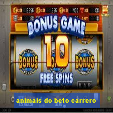 animais do beto carrero