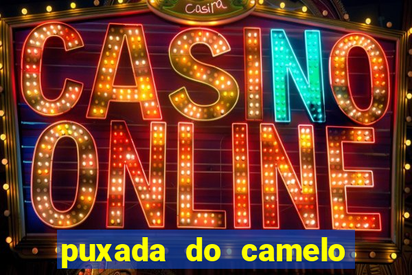 puxada do camelo no jogo do bicho