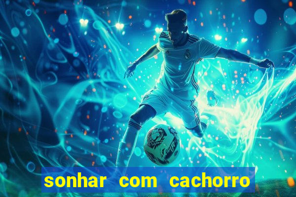 sonhar com cachorro numeros da mega sena