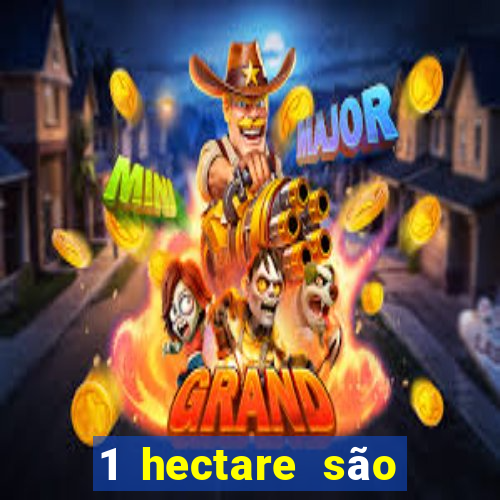 1 hectare são quantas tarefas na bahia