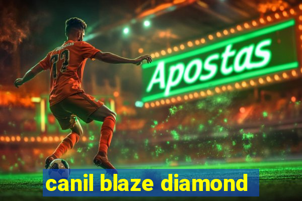 canil blaze diamond